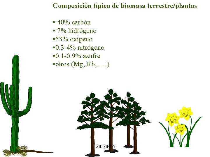 Composición típica de biomasa terrestre/plantas • 40% carbón • 7% hidrógeno • 53% oxígeno