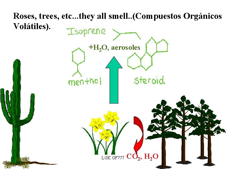 Roses, trees, etc. . . they all smell. . (Compuestos Orgánicos Volátiles). +H 2