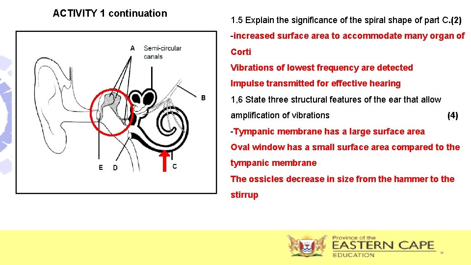 ACTIVITY 1 continuation 1. 5 Explain the significance of the spiral shape of part