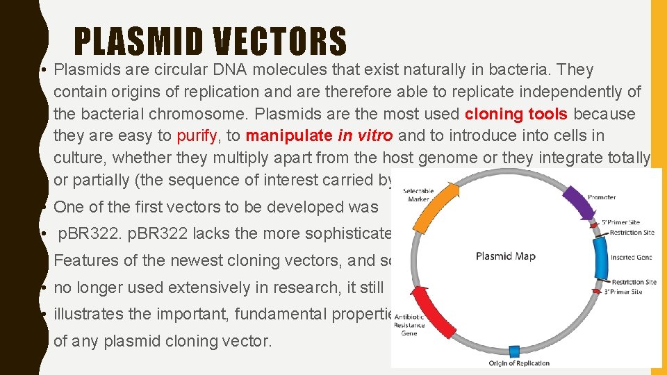 PLASMID VECTORS • Plasmids are circular DNA molecules that exist naturally in bacteria. They