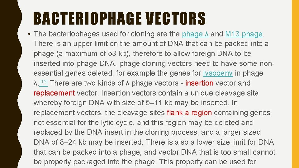 BACTERIOPHAGE VECTORS • The bacteriophages used for cloning are the phage λ and M