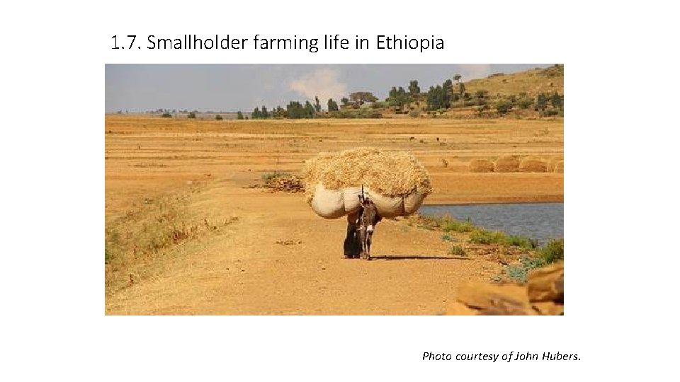 1. 7. Smallholder farming life in Ethiopia Photo courtesy of John Hubers. 