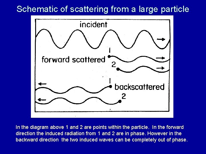 Schematic of scattering from a large particle In the diagram above 1 and 2