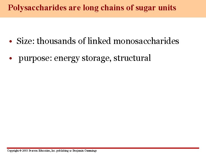 Polysaccharides are long chains of sugar units • Size: thousands of linked monosaccharides •