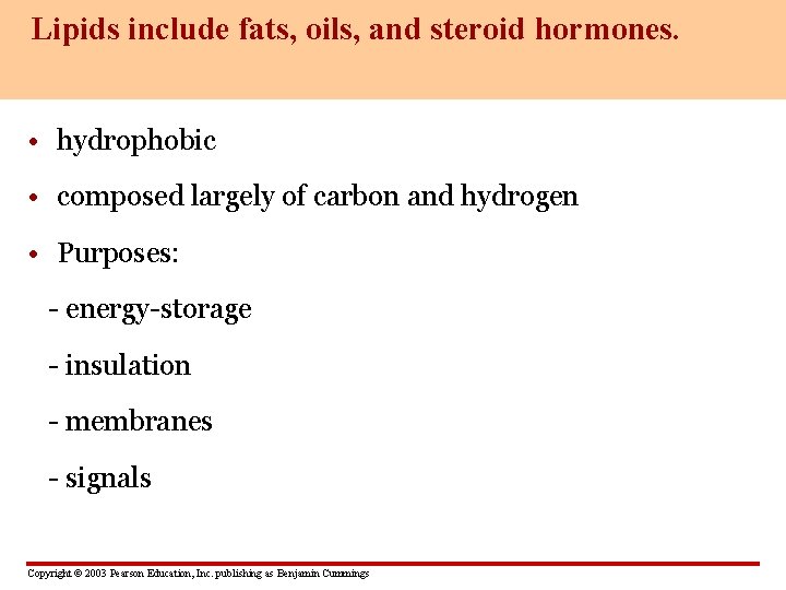 Lipids include fats, oils, and steroid hormones. • hydrophobic • composed largely of carbon