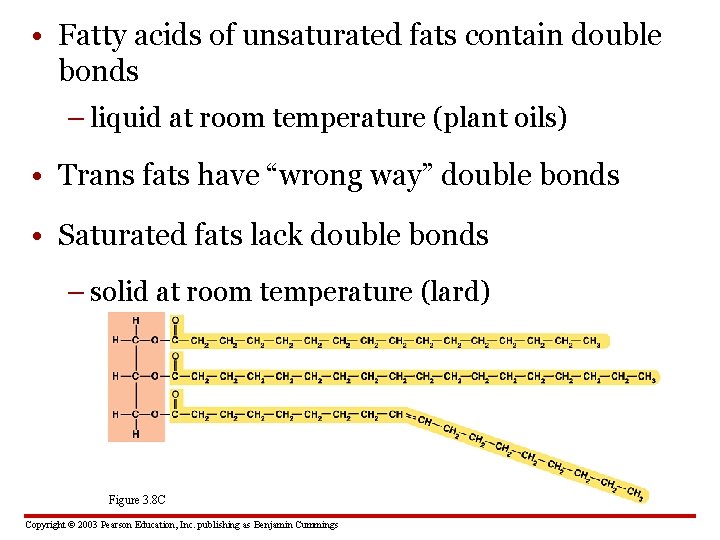  • Fatty acids of unsaturated fats contain double bonds – liquid at room