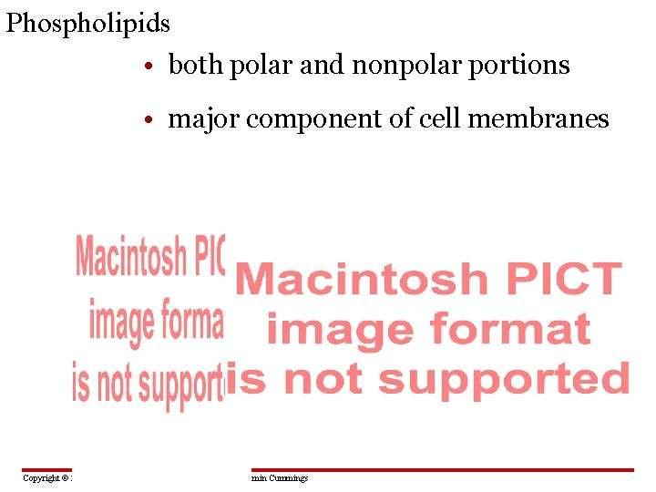 Phospholipids • both polar and nonpolar portions • major component of cell membranes Figure