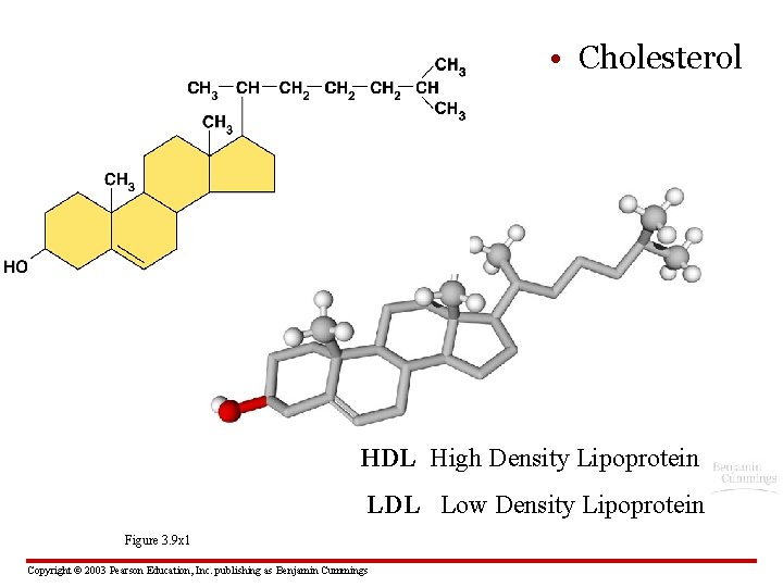  • Cholesterol HDL High Density Lipoprotein LDL Low Density Lipoprotein Figure 3. 9
