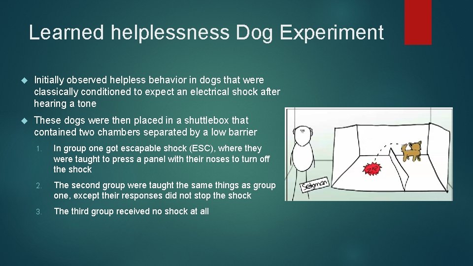 Learned helplessness Dog Experiment Initially observed helpless behavior in dogs that were classically conditioned