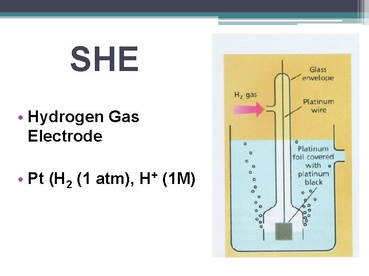 SHE • Hydrogen Gas Electrode • Pt (H 2 (1 atm), H+ (1 M)
