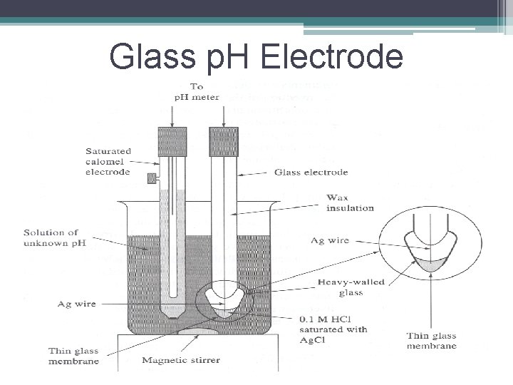 Glass p. H Electrode 