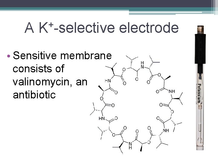 A K+-selective electrode • Sensitive membrane consists of valinomycin, an antibiotic 