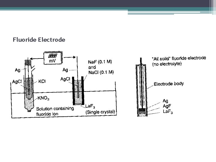 Fluoride Electrode 