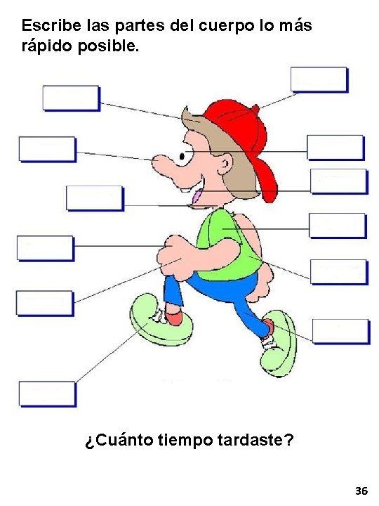 Escribe las partes del cuerpo lo más rápido posible. ¿Cuánto tiempo tardaste? 36 