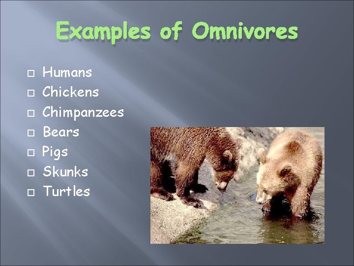 Examples of Omnivores Humans Chickens Chimpanzees Bears Pigs Skunks Turtles 