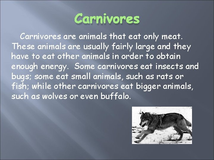 Carnivores are animals that eat only meat. These animals are usually fairly large and
