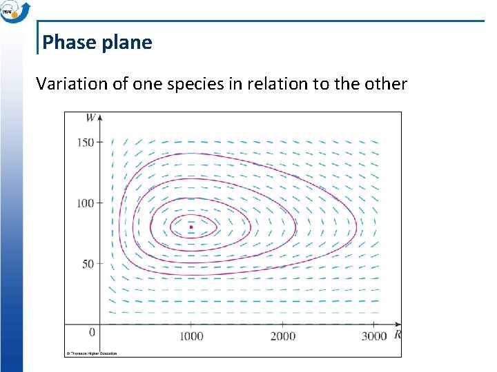 Phase plane Variation of one species in relation to the other 