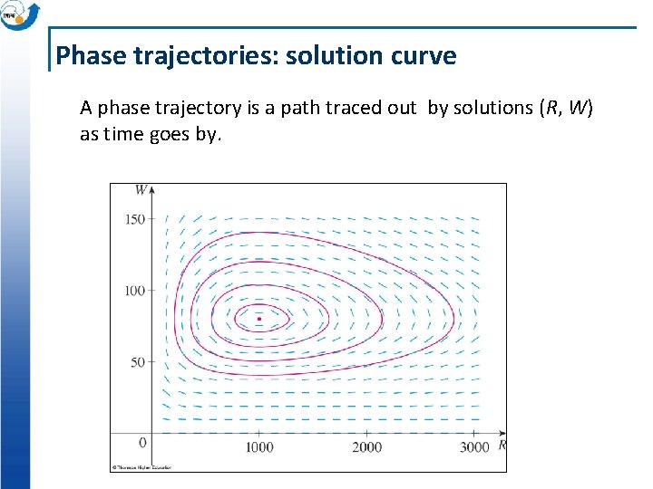 Phase trajectories: solution curve A phase trajectory is a path traced out by solutions