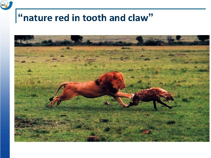 “nature red in tooth and claw” 