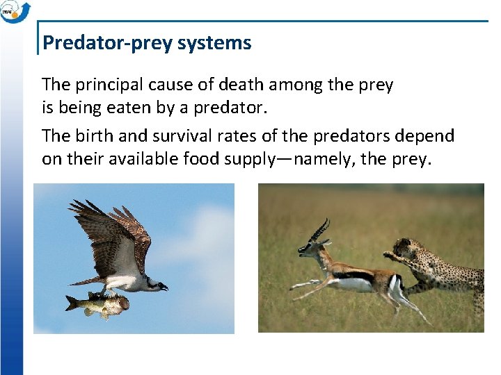 Predator-prey systems The principal cause of death among the prey is being eaten by