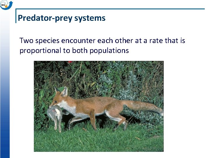 Predator-prey systems Two species encounter each other at a rate that is proportional to