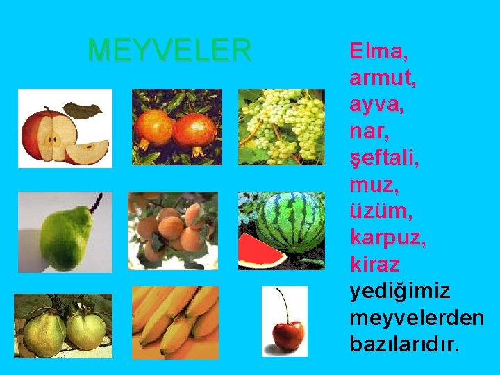 MEYVELER Elma, armut, ayva, nar, şeftali, muz, üzüm, karpuz, kiraz yediğimiz meyvelerden bazılarıdır. 
