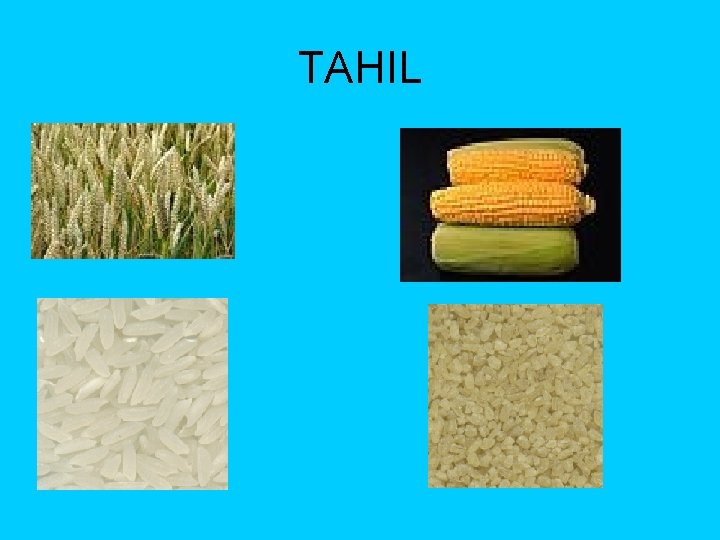 TAHIL 