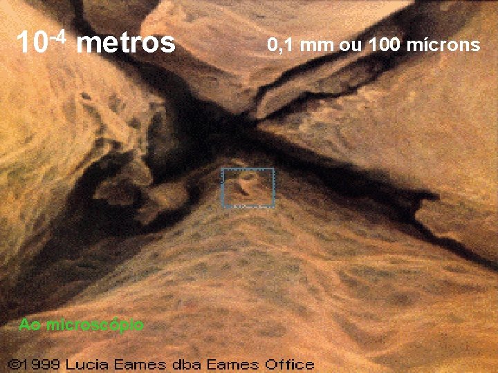 -4 10 metros Ao microscópio 0, 1 mm ou 100 mícrons 