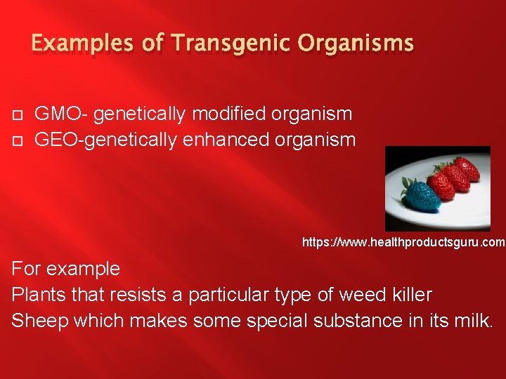 Examples of Transgenic Organisms GMO- genetically modified organism GEO-genetically enhanced organism https: //www. healthproductsguru.