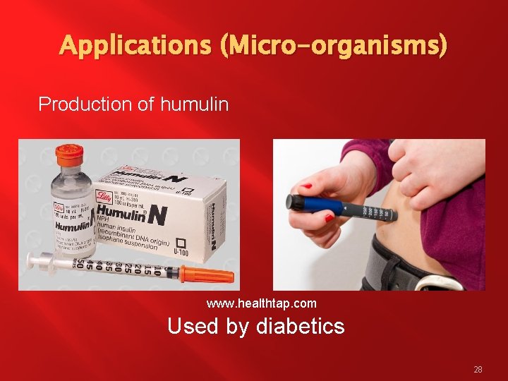 Applications (Micro-organisms) Production of humulin www. healthtap. com Used by diabetics 28 