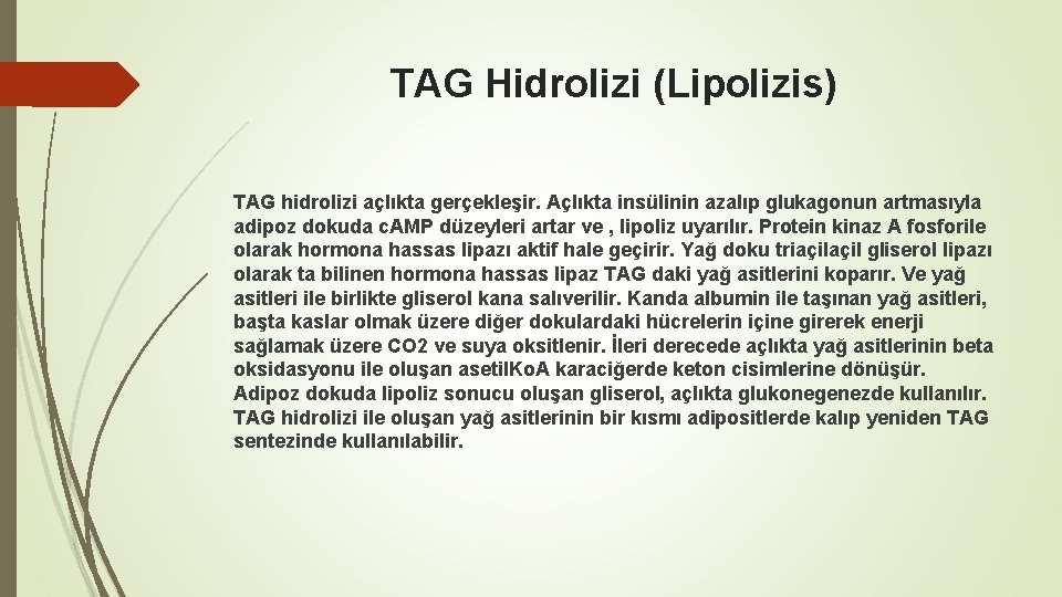 TAG Hidrolizi (Lipolizis) TAG hidrolizi açlıkta gerçekleşir. Açlıkta insülinin azalıp glukagonun artmasıyla adipoz dokuda