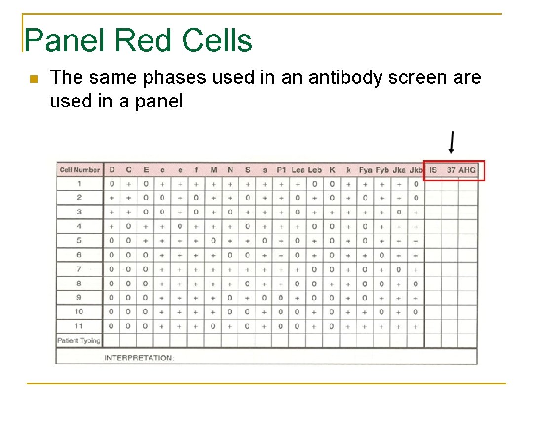 Panel Red Cells n The same phases used in an antibody screen are used