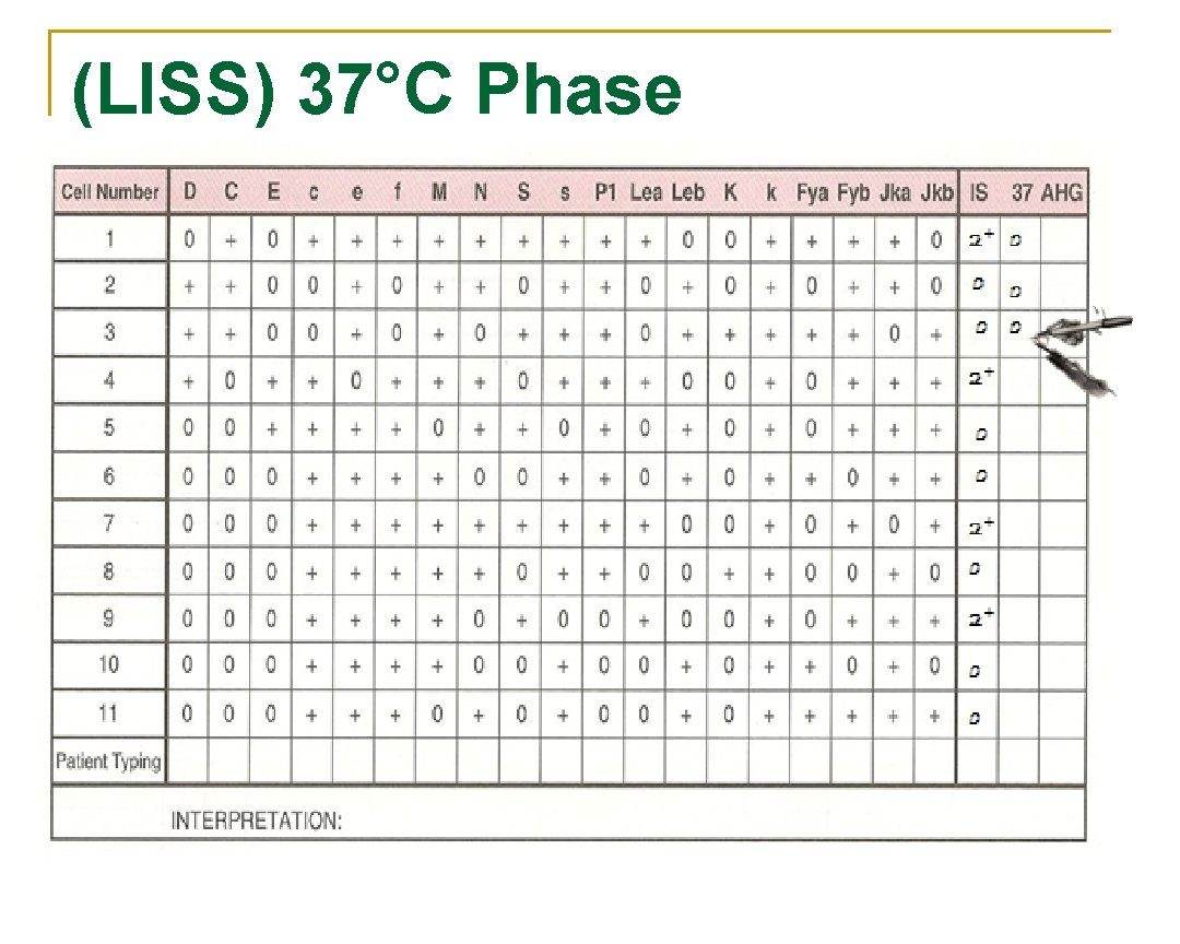 (LISS) 37°C Phase (LISS) 37°C Phase