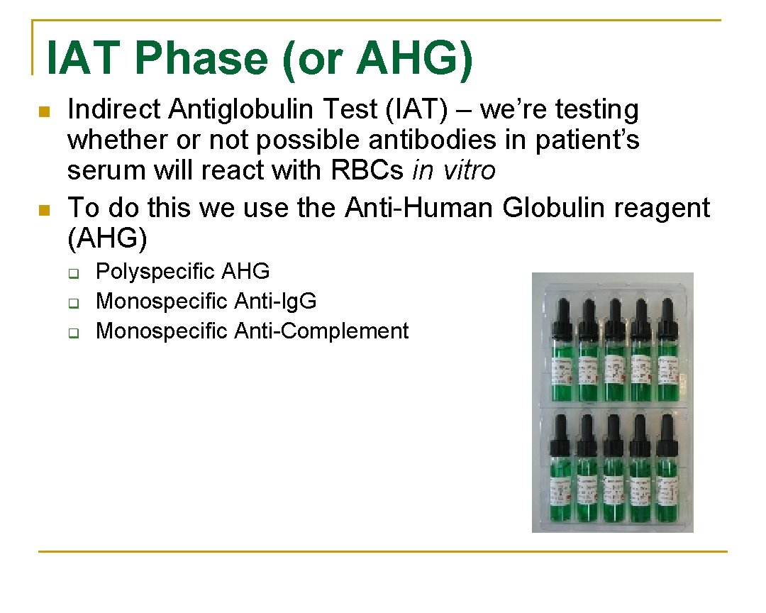 IAT Phase (or AHG) n n Indirect Antiglobulin Test (IAT) – we’re testing whether
