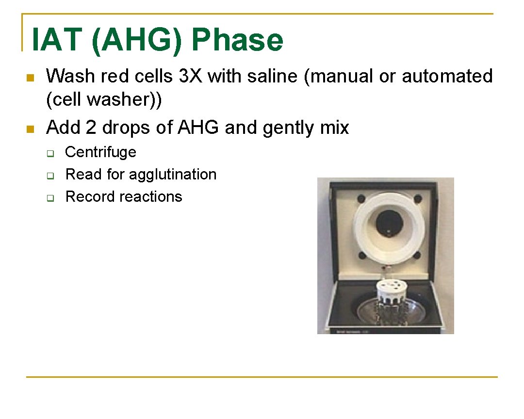 IAT (AHG) Phase n n Wash red cells 3 X with saline (manual or
