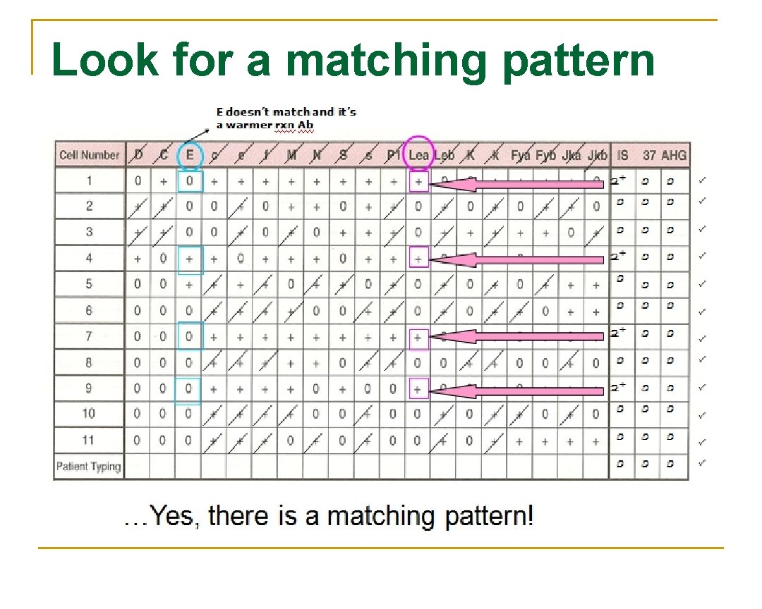 Look for a matching pattern 