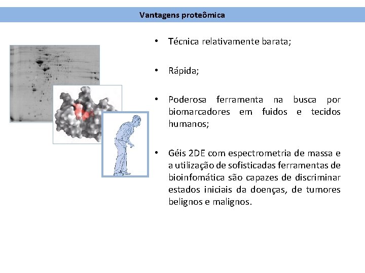 Vantagens proteômica • Técnica relativamente barata; • Rápida; • Poderosa ferramenta na busca por