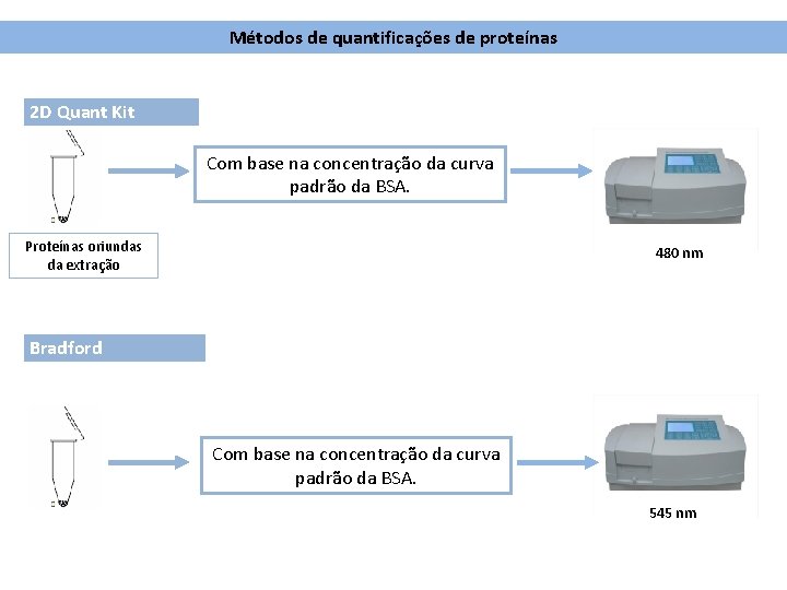 Métodos de quantificações de proteínas 2 D Quant Kit Com base na concentração da