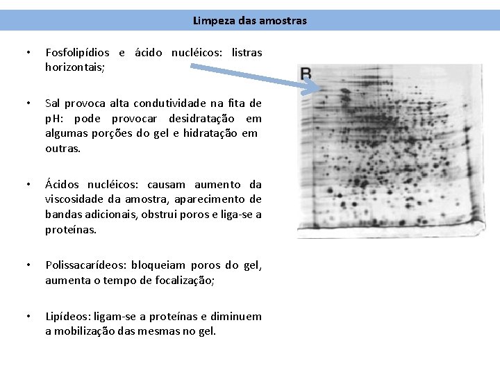 Limpeza das amostras • Fosfolipídios e ácido nucléicos: listras horizontais; • Sal provoca alta