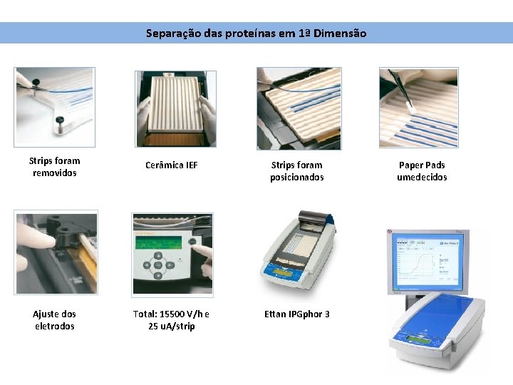 Separação das proteínas em 1ª Dimensão Strips foram removidos Cerâmica IEF Strips foram posicionados