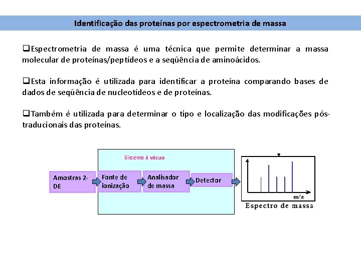 Identificação das proteínas por espectrometria de massa q. Espectrometria de massa é uma técnica