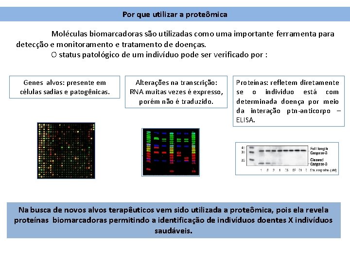 Por que utilizar a proteômica Moléculas biomarcadoras são utilizadas como uma importante ferramenta para