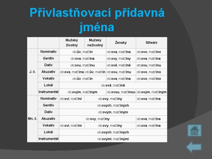 Přivlastňovací přídavná jména 