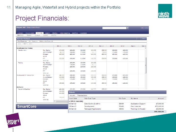 11 Managing Agile, Waterfall and Hybrid projects within the Portfolio Project Financials: 