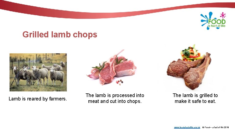 Grilled lamb chops Lamb is reared by farmers. The lamb is processed into meat