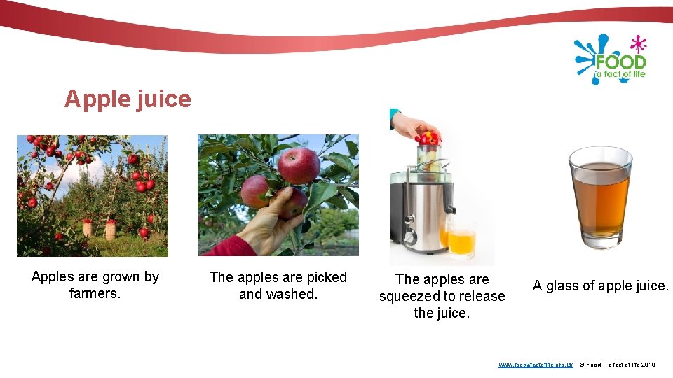 Apple juice Apples are grown by farmers. The apples are picked and washed. The