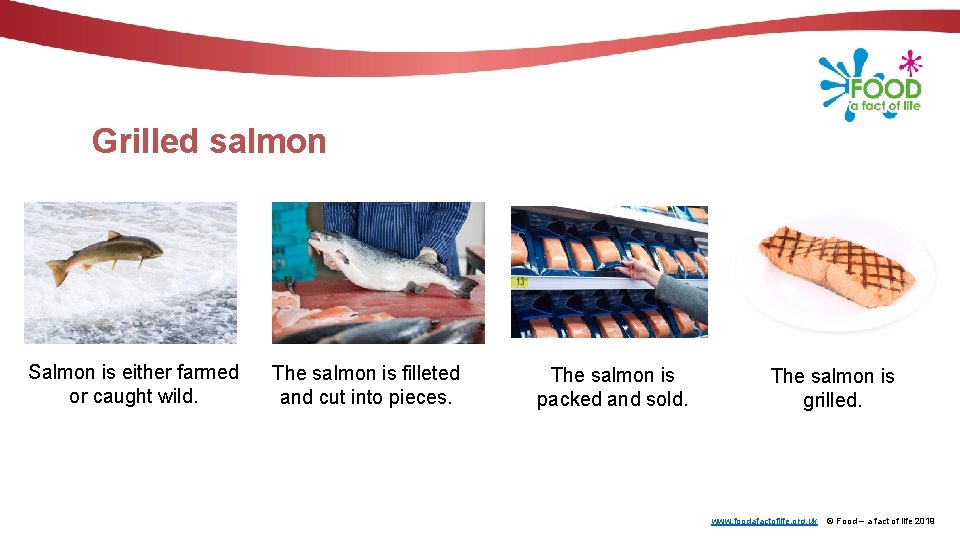 Grilled salmon Salmon is either farmed or caught wild. The salmon is filleted and