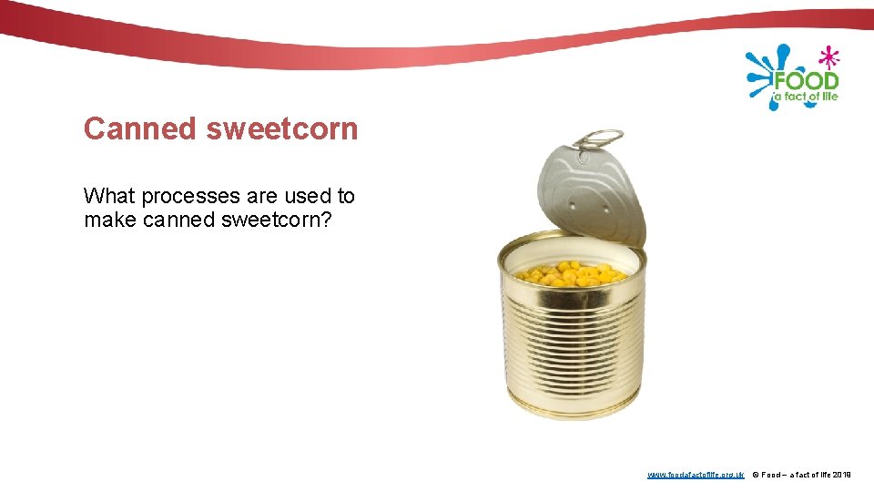 Canned sweetcorn What processes are used to make canned sweetcorn? www. foodafactoflife. org. uk