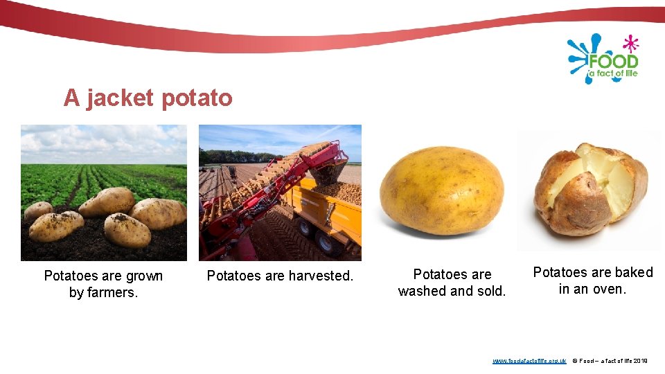 A jacket potato Potatoes are grown by farmers. Potatoes are harvested. Potatoes are washed