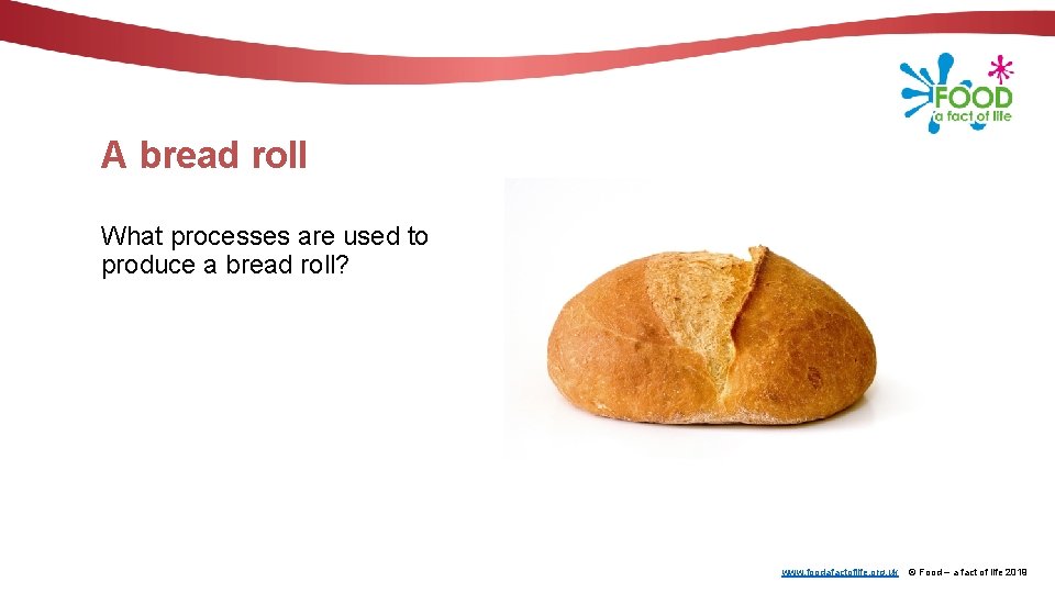 A bread roll What processes are used to produce a bread roll? www. foodafactoflife.